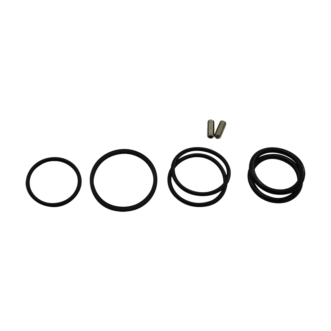 113046 (Squibb Taylor) Kit-O-Ring 1-1/4 Flo-Max Fm125-0024