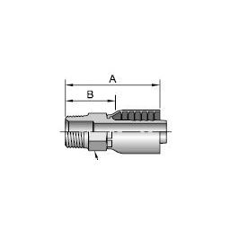 10143-24-24 (Parker Hose - Dayco) 1-1/2 In. MPT Pressed-On Coupling