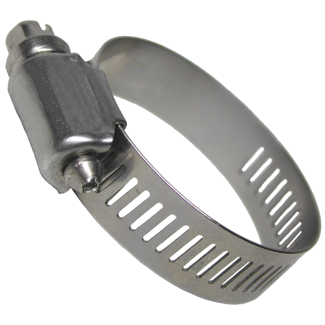 M6724-1 | Clamp-Hose 1-1/2 Ss