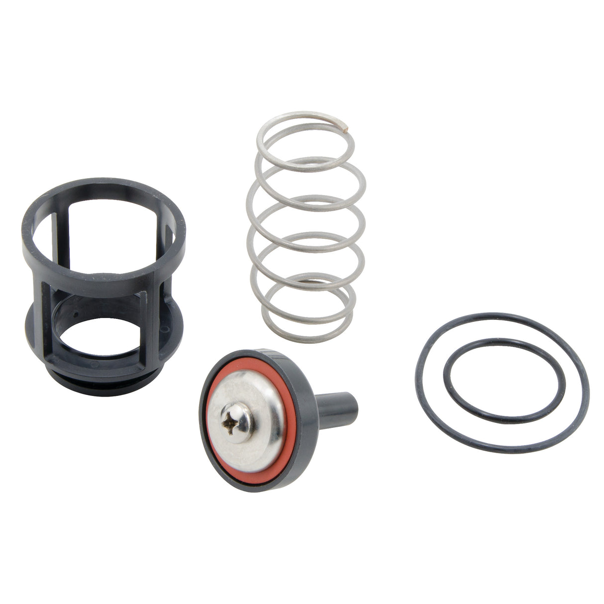 0888112 (Watts) | RK 919 CK1 1 | 1st Check Repair Kit