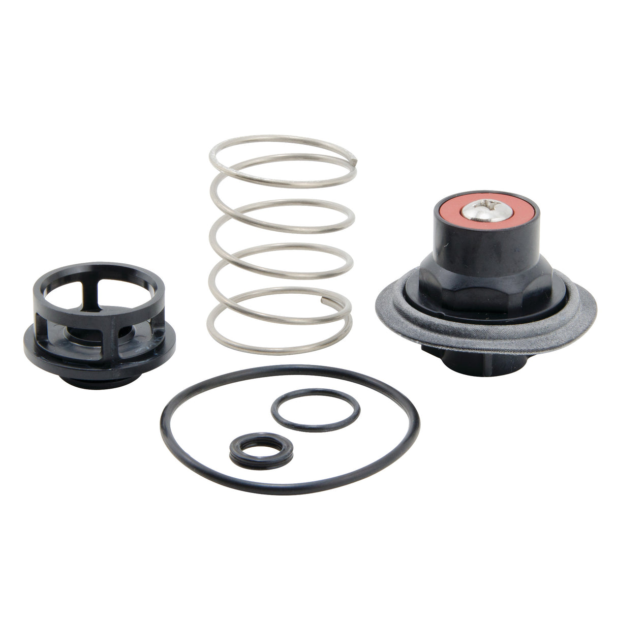 0888131 (Watts) | RK 919 VT 3/4 to 1 LF | Total Relief Valve Repair Kit