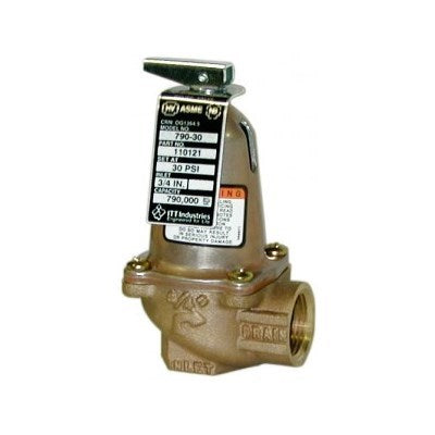 110757 (Bell & Gossett) | 790 80 ASME Relief Valve