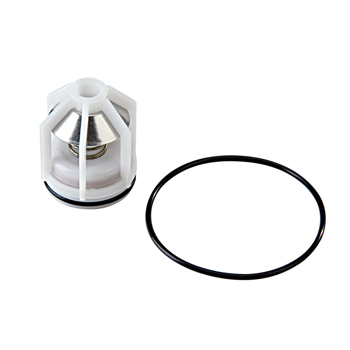 0887005 (Watts) | RK 009 CK1 3/4 to 1 | 1st Check Repair Kit