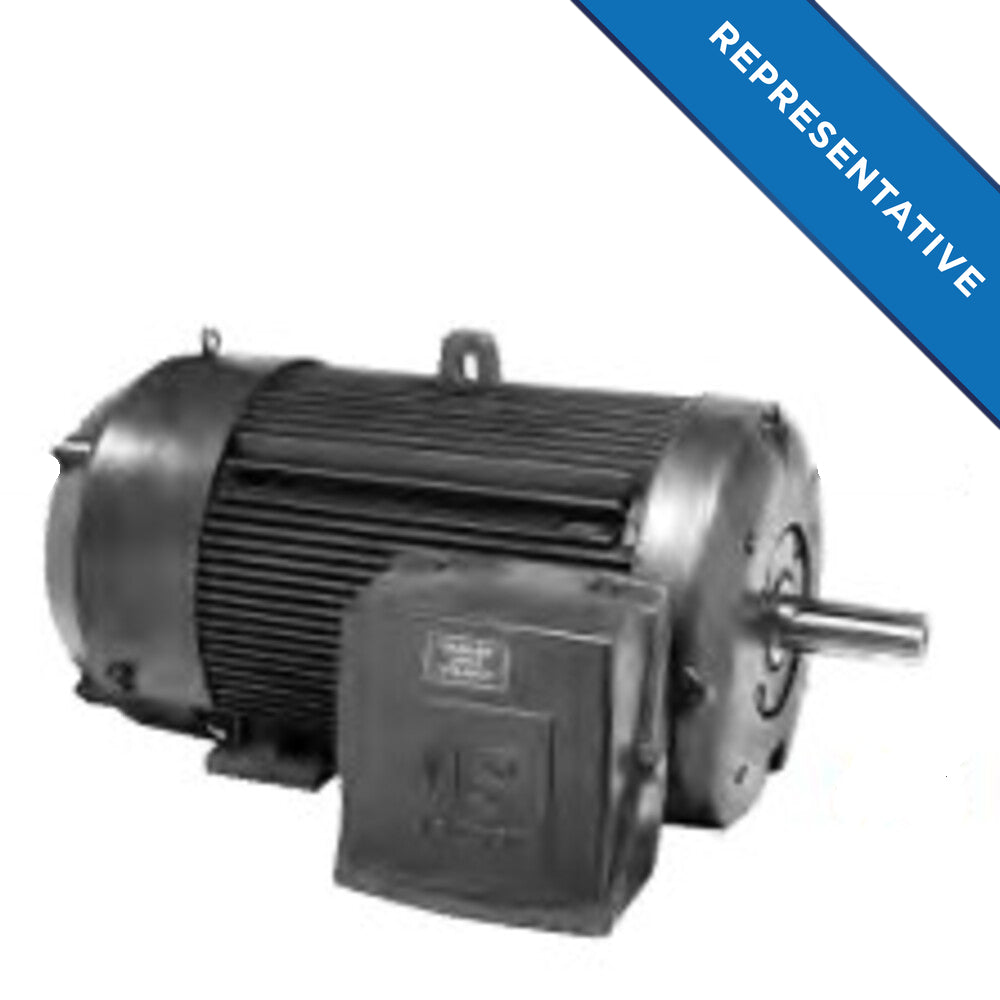 C250P3WB (US Motors/Nidec) | GeneralPurposeMotor | 250 HP | 3 Phase | TEFC | 1190 RPM | 2300/4000 Volts