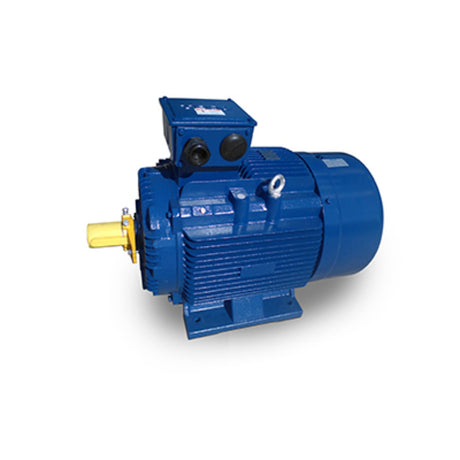 MP1256 (Teco) | IEC Motor | 125 HP | 3 Phase | TEFC | 1200 RPM | 230/460 Volts