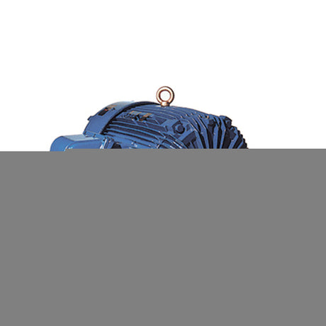 XP1254 (Teco) | Explosion Proof Motor | 125 HP | 3 Phase | TEFC | 1800 RPM | 230/460 Volts