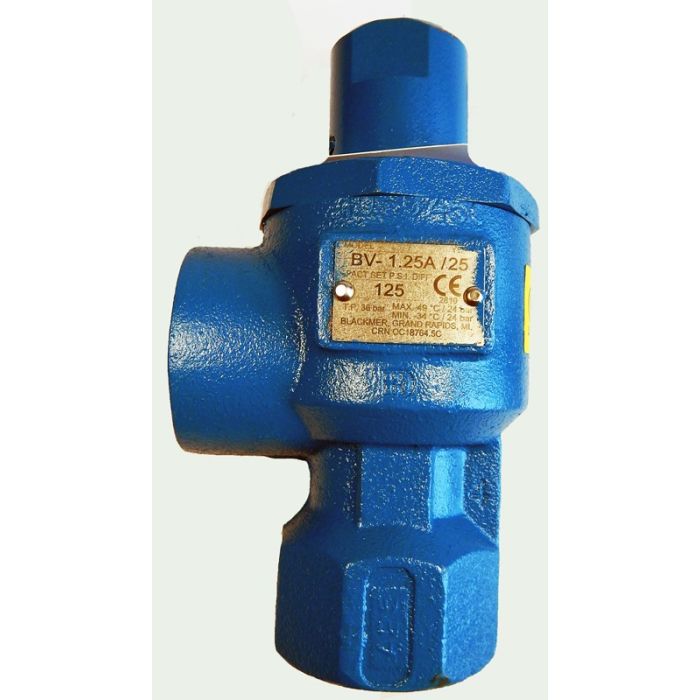 Industrial Gas Technology Part (Bv 1 1/4) 1 1/4 Fpt Bypass Valve 115 Psi