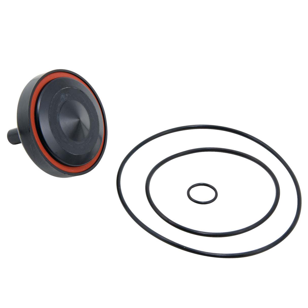 0887543 (Watts) | RK 009 M2 RC2 2 | 2nd Check Rubber Kit