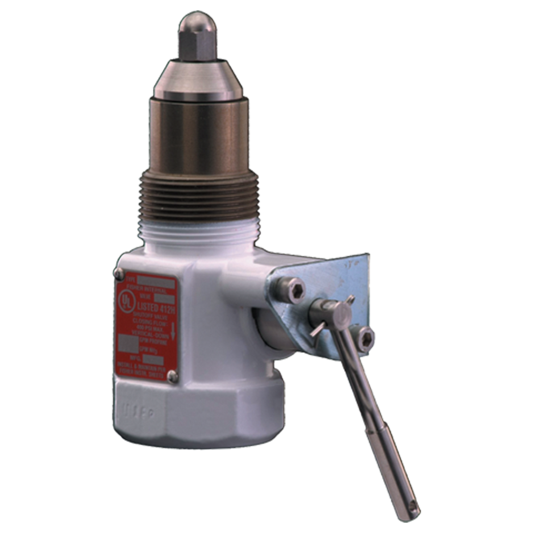 C407-10-05 (Fisher) Valve-Internal 1-1/4Straight Thru Body