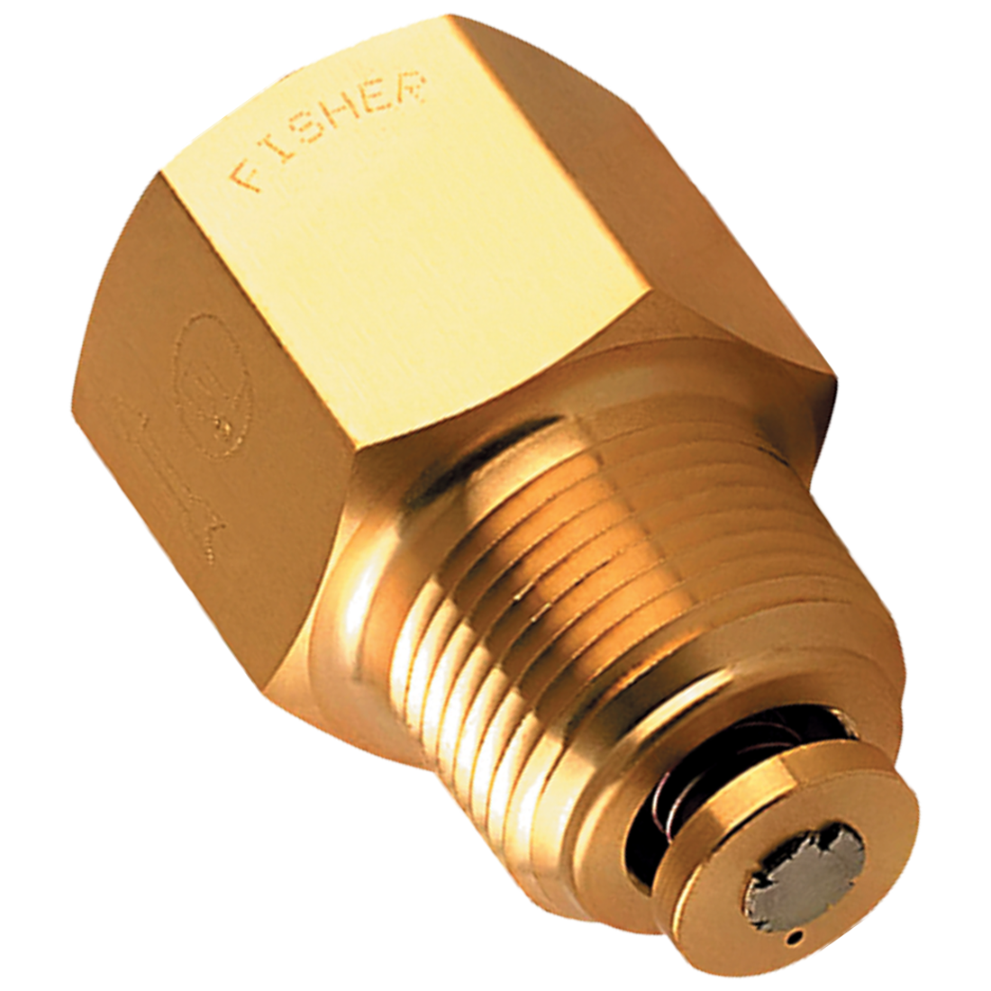 F102 (Fisher) Valve-Ex Flo 1-1/4Mptx1-1/4Fpt 33 Gpm Br