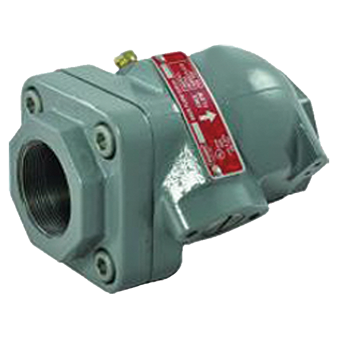 G200-16 (Fisher) Valve-Bck Check 2 Fpt X 2 Fpt Std Soft