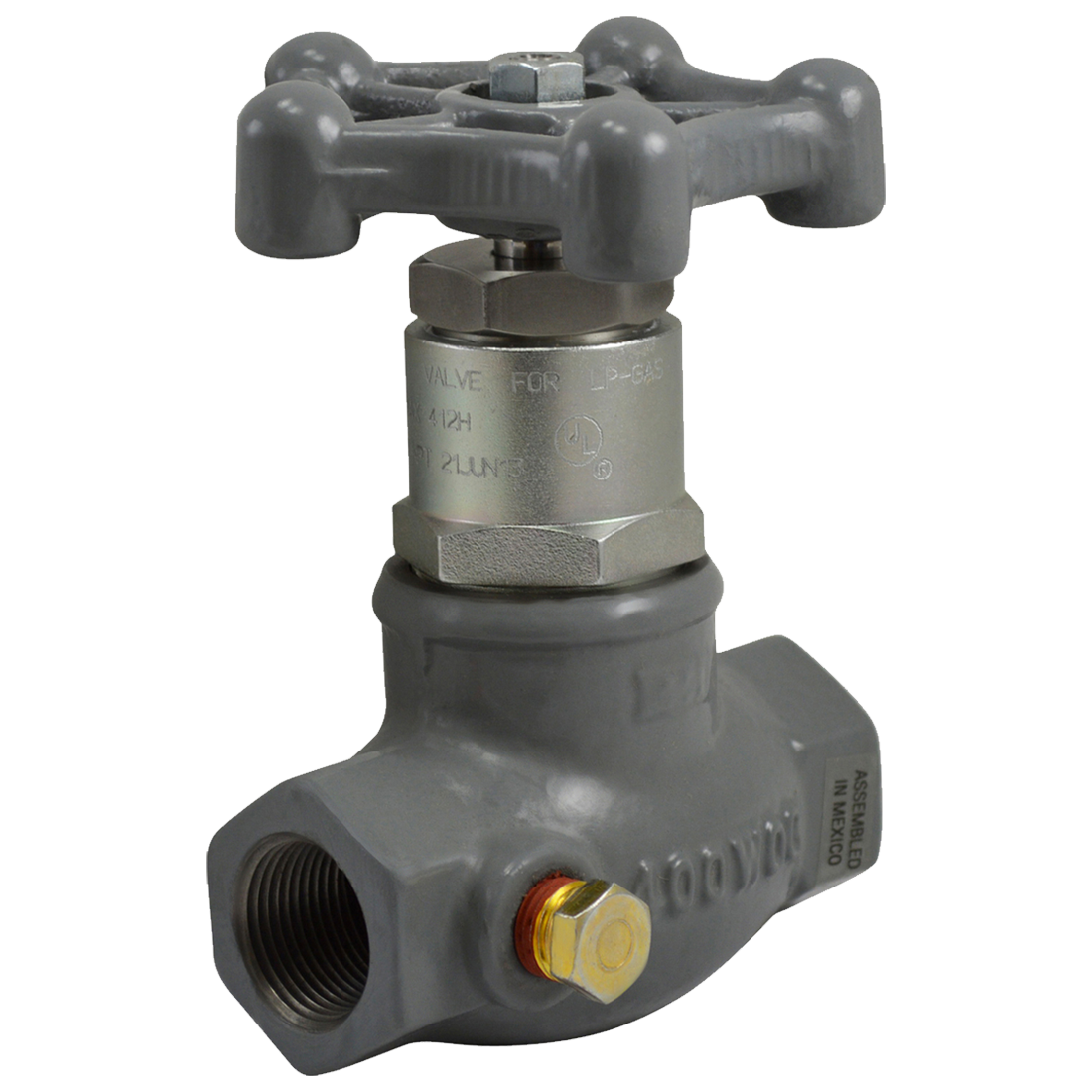 N301-08 (Fisher) Valve-Globe 1 Fpt