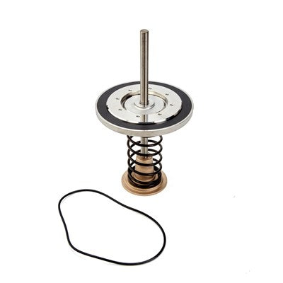 0794018 (Watts) | RK 709 CK4 10 LF Lead Free | 1st or 2nd Check Kit