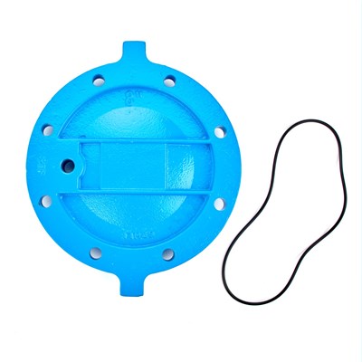 0887923 (Watts) | RK 709-C 8 | 1st or 2nd Check Cover Kit