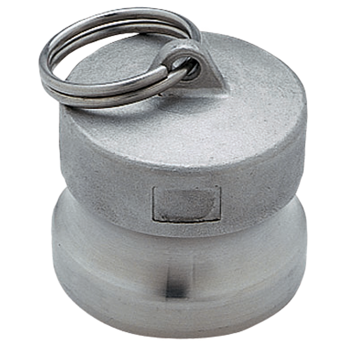 CA3300000 (Banjo) Plug-3/4 For F Coupling Ss