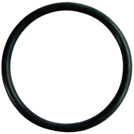 102-872 (Micro Matic) O-Ring-Viton