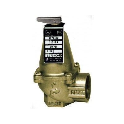 110135 (Bell & Gossett) | 1170 125 ASME Relief Valve