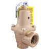 0383020 (Watts) | 1 1/4 In Iron Boiler Pressure Relief Valve | 30 psi | Expanded Outlets