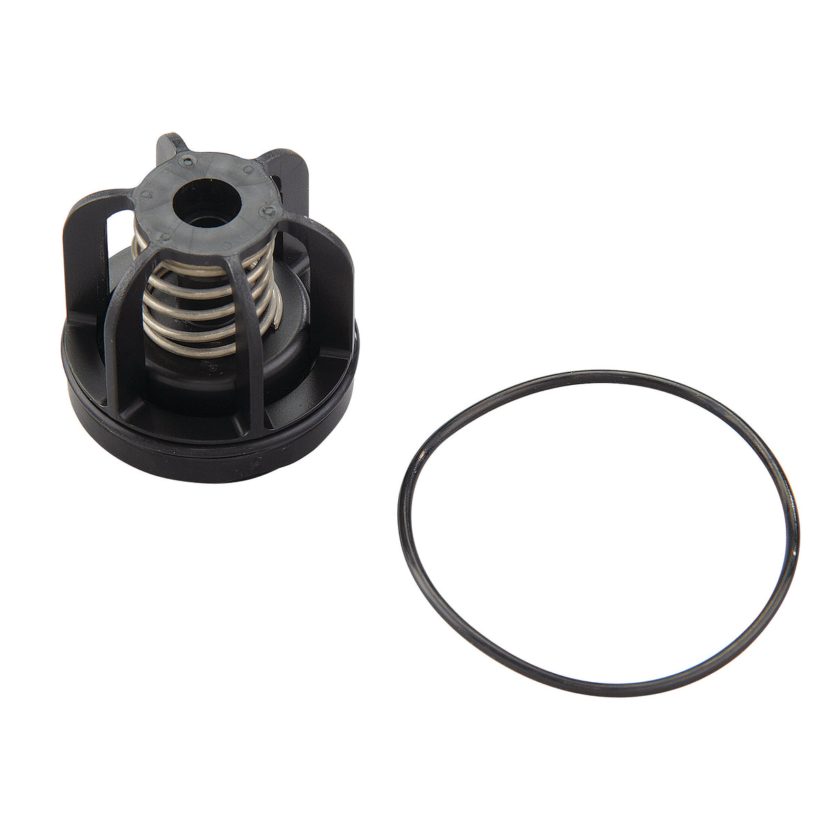 0888520 (Watts) | RK 009 M3 CK1 3/4 | 1st Check Repair Kit