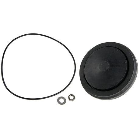 905152 (Febco) | RK 870V/876V D 2 1/2-3 | Check Disc Assembly Kit
