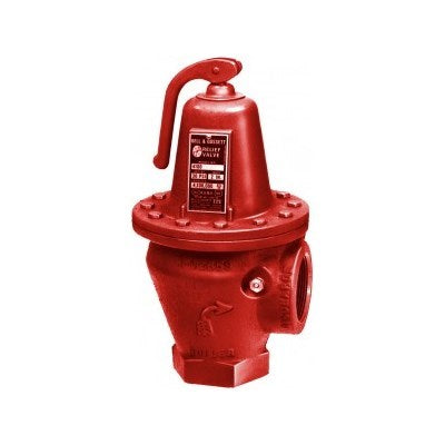 110082 (Bell & Gossett) | 3301 50 ASME Relief Valve