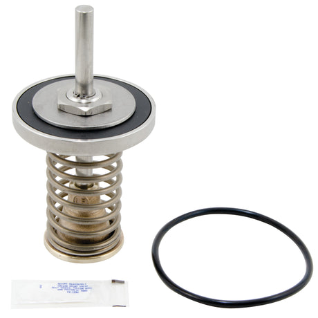 0794096 (Watts) | RK 909 CK1 2-1/2 3 LF Lead Free | 1st Check Kit