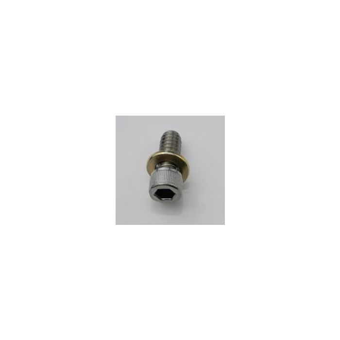 45-0054 (Hannay Reels) 1/4 In. -20 X 5/8 In. Sst Socket Head