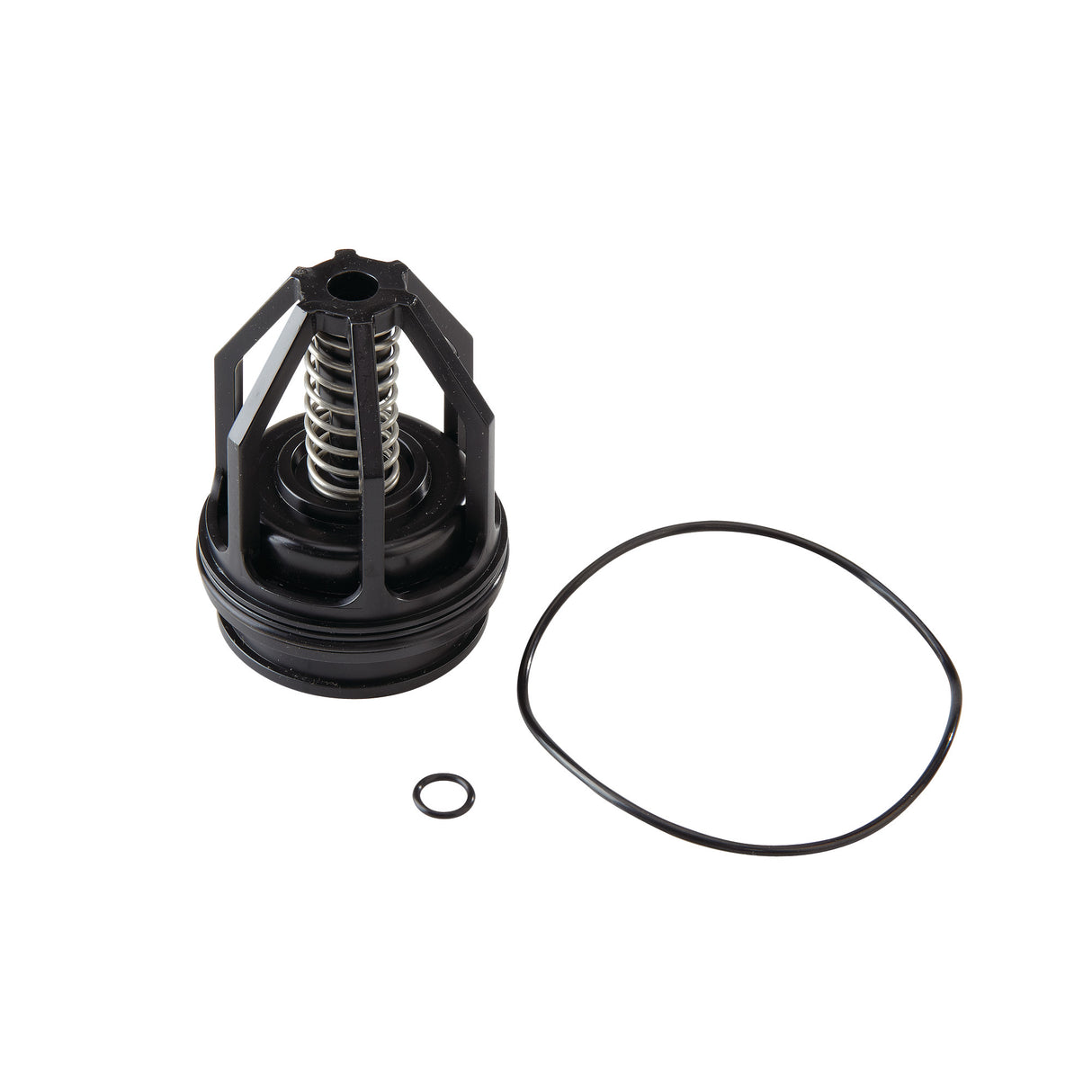 0887301 (Watts) | RK 009 M2 CK2 1-1/4 to 1-1/2 | 2nd Check Repair Kit