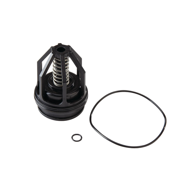 0887301 (Watts) | RK 009 M2 CK2 1-1/4 to 1-1/2 | 2nd Check Repair Kit