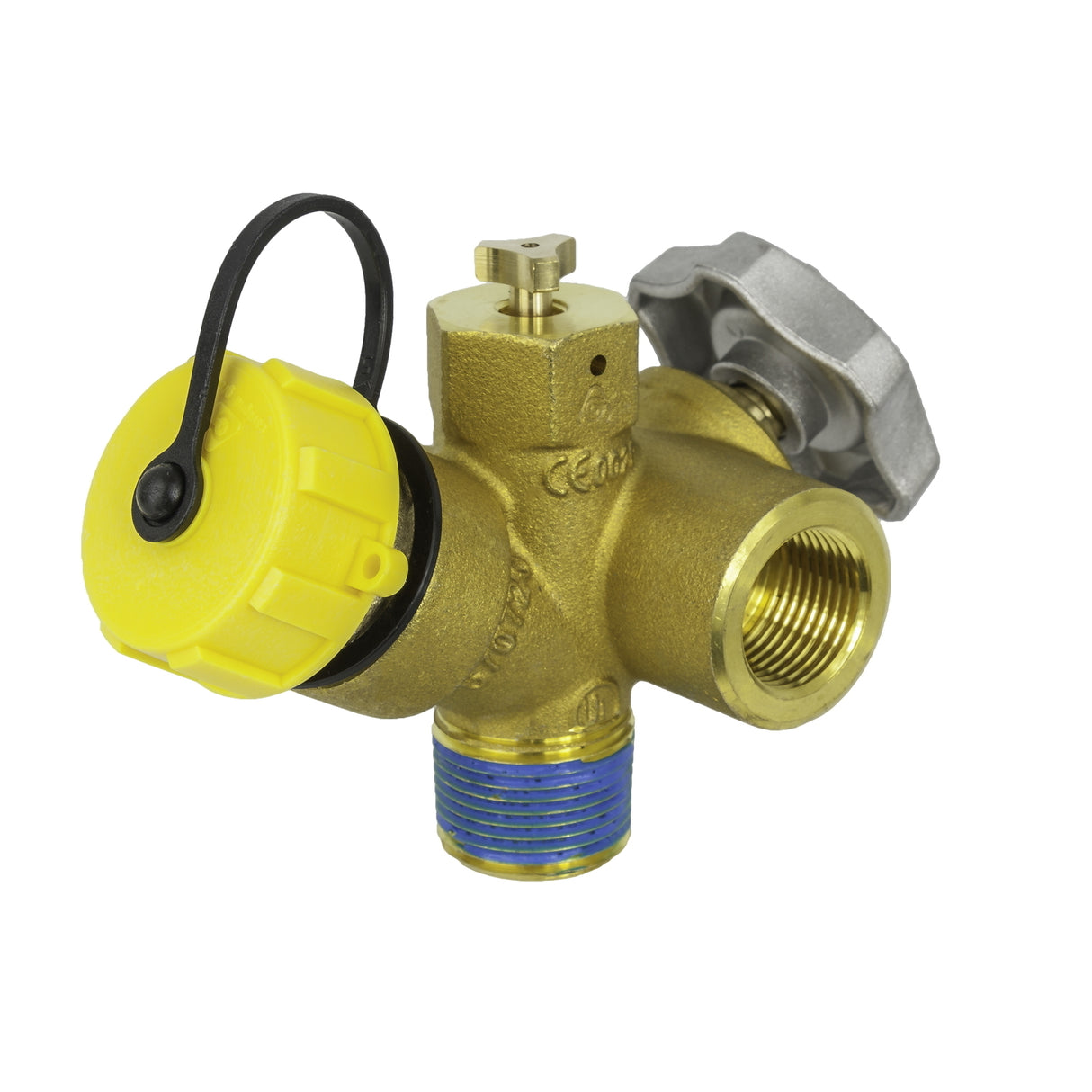 6704901069 (Cavagna) 3/4 In. MPT Combo Valve With 12 In.