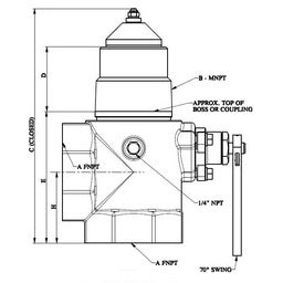 6902900112 (Cavagna) 3 Inch Internal Valve Tee Body