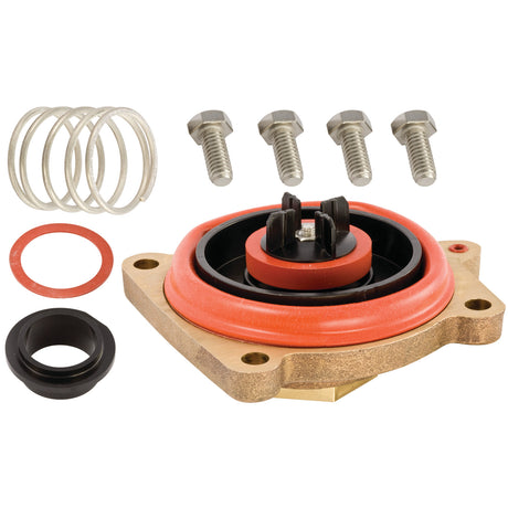 905353 (Febco) | RK 860 VT 1/2 1 | Relief Valve Module Kit