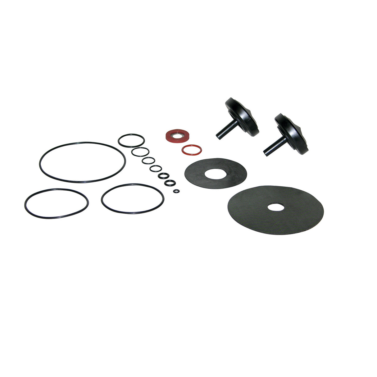 0887547 (Watts) | RK 009 M2 RT 2 | Total Rubber Kit