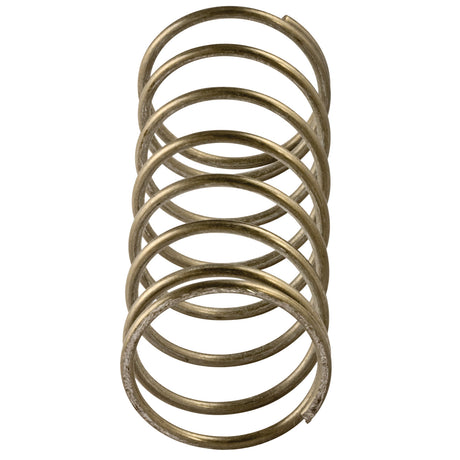 630125 (Febco) | RK 825Y 3/4 1-1/4 CK1 Spring | 1st Check Spring