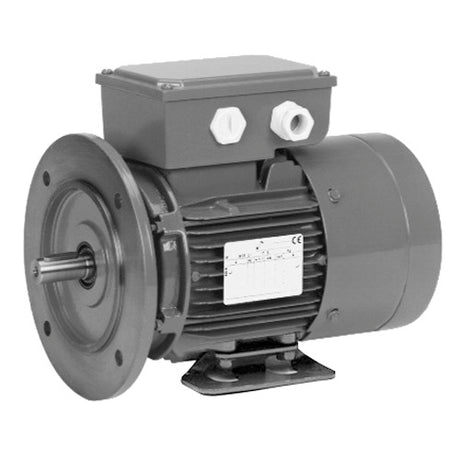 BR13S2ACR3 (US Motors/Nidec) | Brake Motor | 0.33 HP | 3 Phase | TEFC | 1740 RPM | 208-230/460 Volts