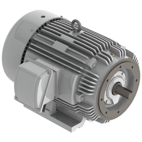EP0016C (Teco) | Severe Duty Motor | 1 HP | 3 Phase | TEFC | 1200 RPM | 230/460 Volts