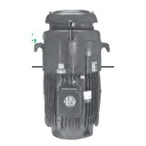 HT125P2CLG (US Motors/Nidec) | Vertical Hollow Shaft Motor | 125 HP | 3 Phase | TEFC | 1790 RPM | 460 Volts