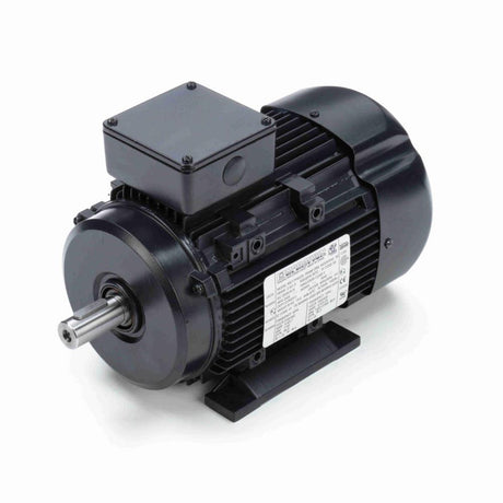 MR319A (Marathon) | IEC Motor | 2 HP | 3 Phase | TEFC | 1745 RPM | 230/460 Volts
