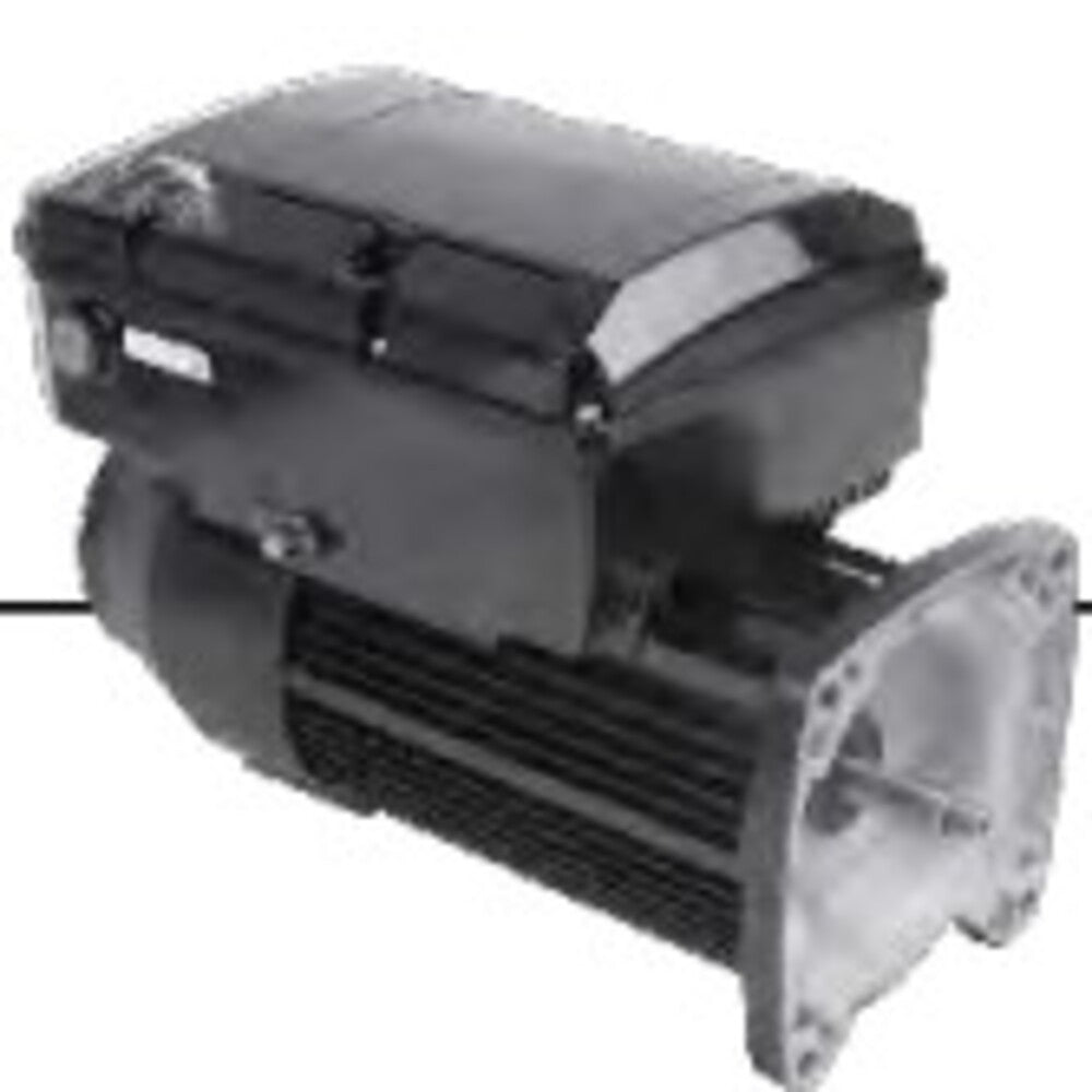 NPTQ165 (US Motors/Nidec) | Pool and Spa Pump Motor | 1.65 HP | 1 Phase | TEFC | 3450 RPM | 115/230 Volts