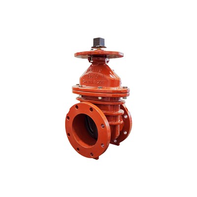 7018794 (Ames-Deringer) | Gate Valve 6 Piv Fxf | NRS Gate Valve W/Piv | Flanged X Flanged