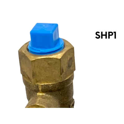 SHP1 (Arbiter) | Plug Npt 1/4 Plastic Bag OF 50