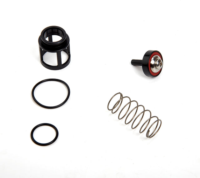 0889061 (Watts) | RK 719 CK4 3/4 | 1st or 2nd Check Repair Kit