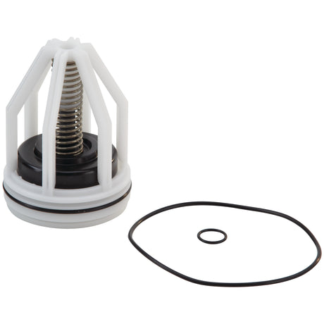 0887541 (Watts) | RK 009 M2 CK2 2 | 2nd Check Repair Kit