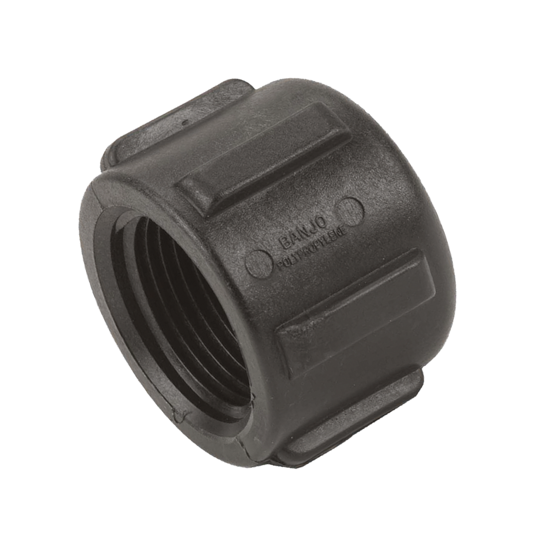 CAP100 (Banjo) Cap-Pipe 1 Poly