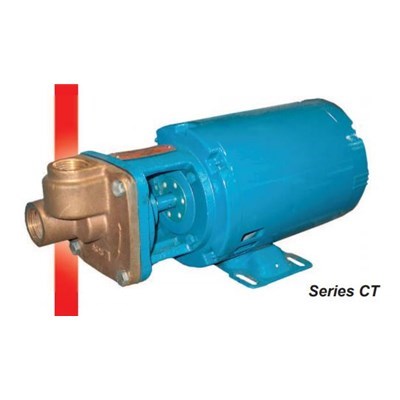 -09AS00001 (Burks) | Pump CT6M 1/2HP 1PH 3450RPM