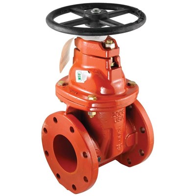 781010 (Febco) | 10 NRS GV | NRS Gate Valve | Flanged X Flanged