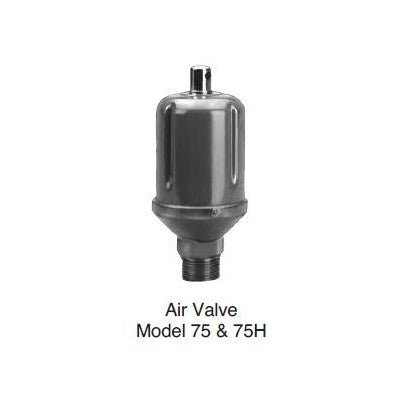 401437 (Hoffman Specialty) | 401437 Main Steam Vent 1/2 FPT X 3/4 MPT