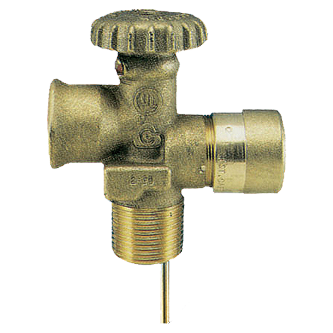 8007906032 (Cavagna) Valve-Service 3/4 Mpt X Fpol 10.6 Dip