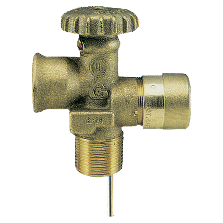 8007906032 (Cavagna) Valve-Service 3/4 Mpt X Fpol 10.6 Dip