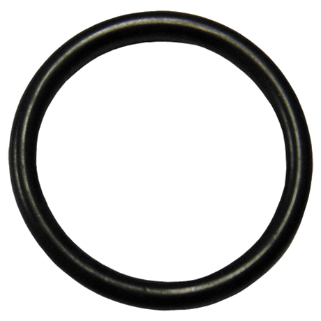 403012 | O-Ring-1-3/4 Acme